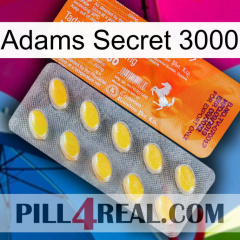 Adams Secret 3000 new05